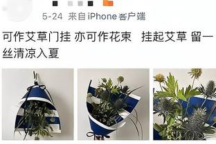 记者：鹈鹕对活塞后卫伯克斯很感兴趣